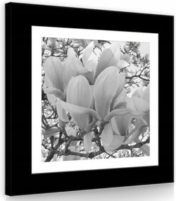 Vászonkép 80x80 Magnólia virágok növényvilág természet elegancia nyugalom tavasz