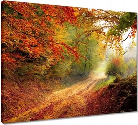 Vászonkép 50x40 Út az erdőben ősz