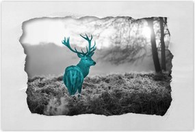Poszter 60x40 Türkiz szarvas agancsokkal