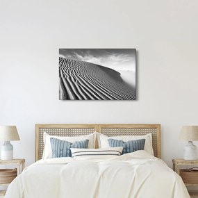 Kép - Homokdűne (90x60 cm)