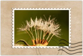 Poszterek 120x80 Pitypang pitypang