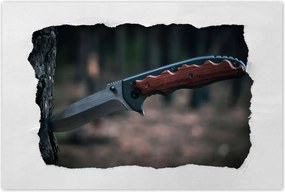 Poszterek 60x40 Fa kéregbe szúrt kés