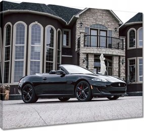 Vászonkép 50x40 Autó Fura Sport