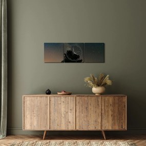 Egy éjszakai égbolt fákkal képe (órával) (90x30 cm)