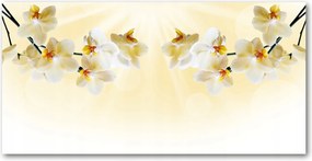 Orchidea konyhabútor közötti panel 120x60 Ragasztó