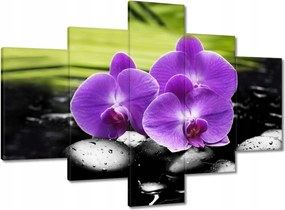 Vászonkép 100x70 Orchideák a köveken