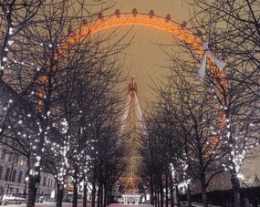 Poszter 76x60,5cm London Eye éjszaka fákkal, Assaf Frank