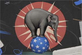 Dekoratív Fotótapéta Hálószobába Cirkuszi elefánt 104x70 Ragasztó