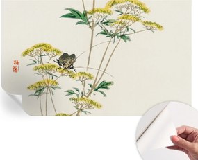 Öntapadós tapéta Divatos 3D fali ragasztó Virágok természet 416x254 cm