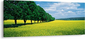 A mező képe egy sikátorral (120x50 cm)