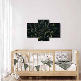Kép - Forest (90x60 cm)