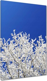 Vászonkép 80x120 Téli fa Szron Hó