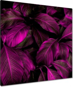 Vászonkép 90x90 Gyönyörű fukszia levelek