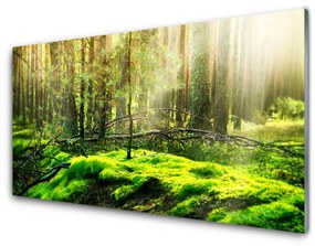 Fali üvegkép Forest Moss Természet 100x50 cm