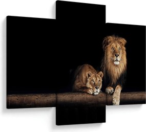 Kép - oroszlán és a nőstény oroszlán (90x60 cm)