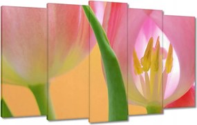 Vászonkép 100x60 Rózsaszín tulipánok