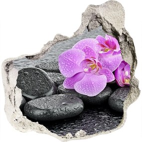 3d-s lyuk vizuális effektusok matrica Orchideák kövek nd-p-69189175