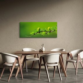 Zöld fenyőtoboz képe (120x50 cm)