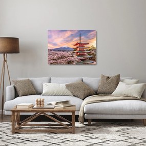 Üveg kép - Fuji (70x50 cm)