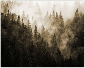 Poszterek 50x40 Tájkép Szépia Hegyek Köd