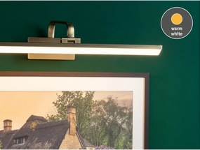 Paulmann 95570 - LED/11W Képvilágító lámpa RENAN 230V 60 cm sárgaréz