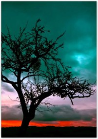 Poszterek 70x100 Naplemente a sivatagban