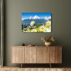 Kép - tavasz az Alpokban (90x60 cm)
