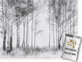 Fotótapéta Erdő 3D Fekete-fehér Fák Falra Hálószoba Nappali 250x175