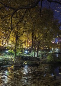 Poszter 29,7x42cm Esti kilátás a New York-i Central Parkra 7, Assaf Fra