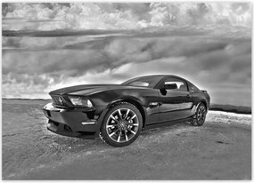 Poszterek 70x50 Ford Mustang a hóban Autó Klasszikus Made in Usa