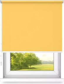 Szabadon álló roló 200 cm x 280 cm Különböző színek