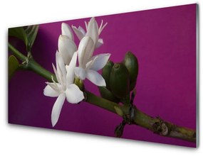 Modern üvegkép Flowers Nature növények hajtásainak 100x50 cm