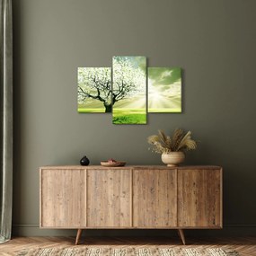 Fa képe a réten (90x60 cm)
