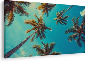 Kép - Magas pálmafák (90x60 cm)