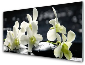 Üvegkép Virág orchidea növény 100x50 cm 4 fogas