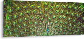 Kép - Páva (120x50 cm)