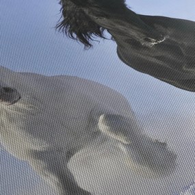 Kép - Lovak télen (150x105 cm)