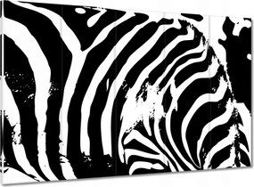 Vászonkép 100x70 Zebra csíkos kisállat