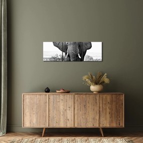Kép - Afrikai elefánt II. (órával) (90x30 cm)
