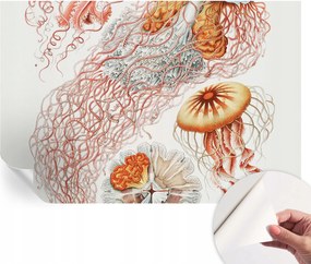 Modern öntapadós fali fotótapéta Fantázia medúzák 104x70 cm