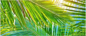 Kép - Pálmalevelek (120x50 cm)