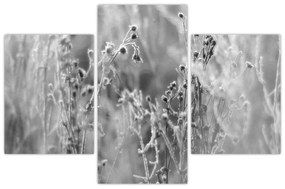 Kép - Wild Meadow (90x60 cm)