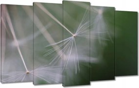 Vászonkép 100x60 Pitypang Virág Virágok