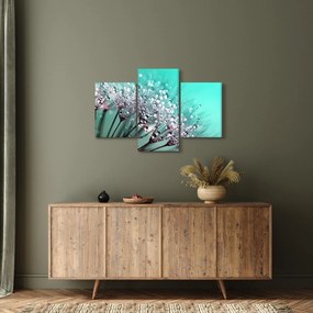 Kép - harmatos növény (90x60 cm)