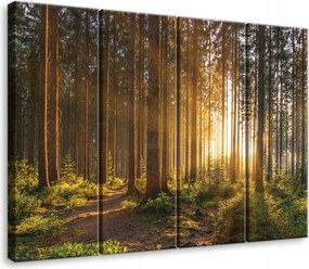 Vászonkép Erdő Természet Kilátás Vászon Fal 4 Részes Hálószoba Nappali 120x100