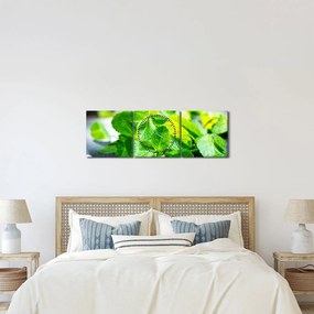 A menta képe (órával) (90x30 cm)