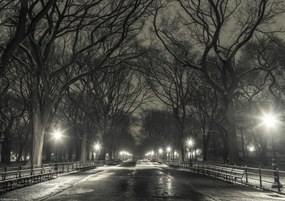 Poszter 29,7x21cm Éjszakai kilátás a Central Parkon át vezető útra, Assaf Frank