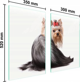 Üveg Konyhai Védőlap 65x52 Kutya