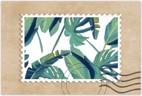 Poszter 60x40 Monstera Levelek levél