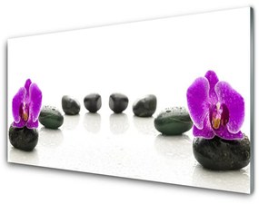 Modern üvegkép Orchideák virág kavics 120x60cm 2 fogas